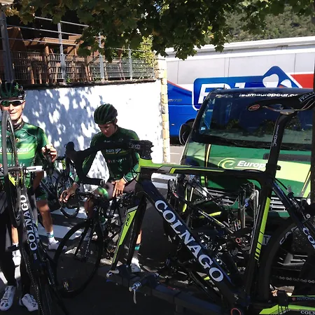 Brit 마르베졸스