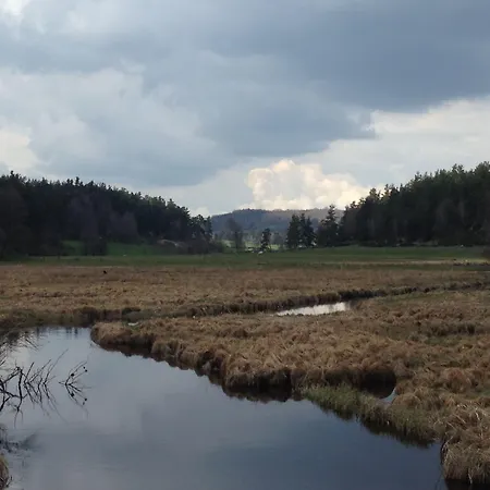 Brit 마르베졸스