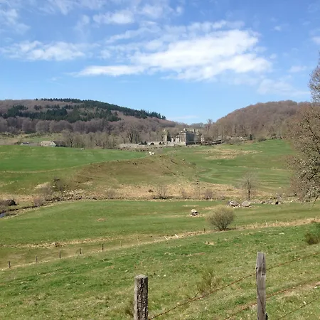 Brit 마르베졸스